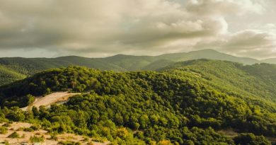 películas de dakota johnson