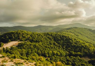 películas de dakota johnson