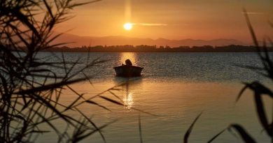 películas de chris evans