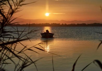 películas de chris evans