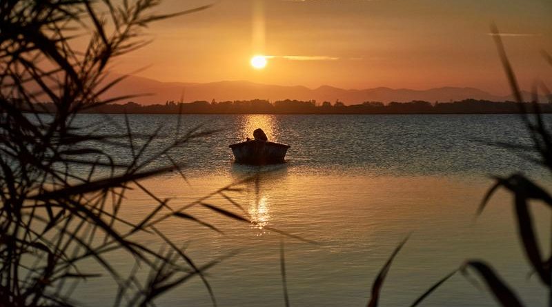 películas de chris evans