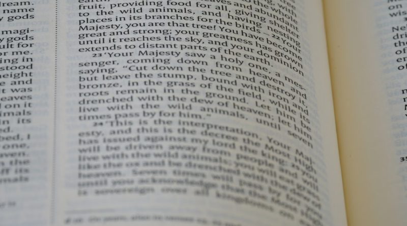 encontrar texto informativo