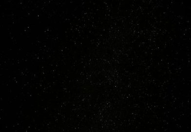 Películas y programas de TV de Norman Reedus