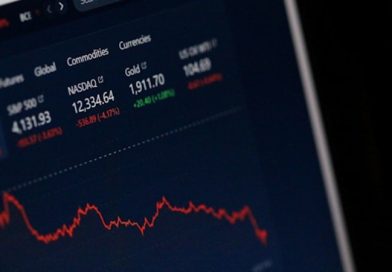 que es la economía lineal